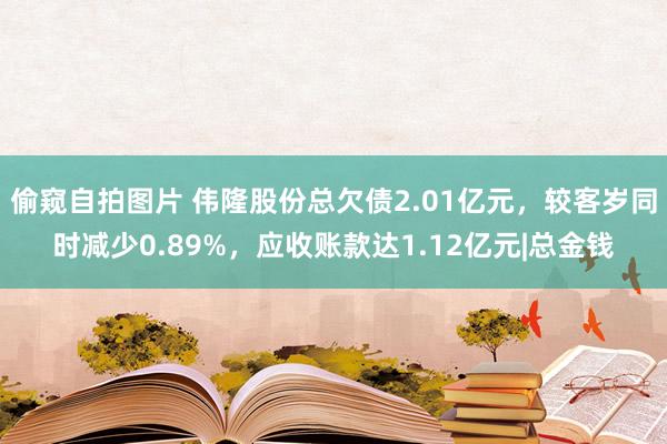 偷窥自拍图片 伟隆股份总欠债2.01亿元，较客岁同时减少0.89%，应收账款达1.12亿元|总金钱