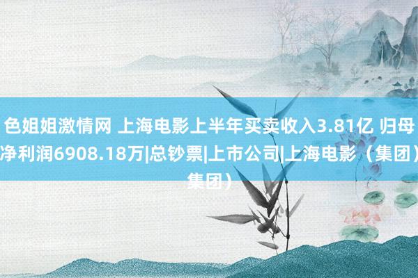 色姐姐激情网 上海电影上半年买卖收入3.81亿 归母净利润6908.18万|总钞票|上市公司|上海电影(集团)