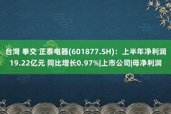 台灣 拳交 正泰电器(601877.SH)：上半年净利润19.22亿元 同比增长0.97%|上市公司|母净利润