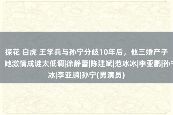 探花 白虎 王学兵与孙宁分歧10年后，他三婚产子自毁前景，她激情成谜太低调|徐静蕾|陈建斌|范冰冰|李亚鹏|孙宁(男演员)