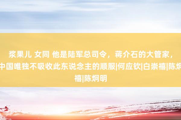 浆果儿 女同 他是陆军总司令，蒋介石的大管家，新中国唯独不吸收此东说念主的顺服|何应钦|白崇禧|陈炯明