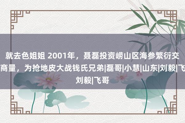 就去色姐姐 2001年，聂磊投资崂山区海参繁衍交易商量，为抢地皮大战钱氏兄弟|磊哥|小慧|山东|刘毅|飞哥