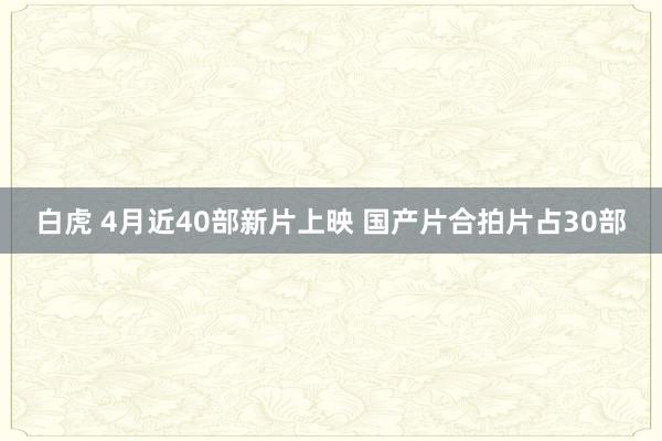 白虎 4月近40部新片上映 国产片合拍片占30部