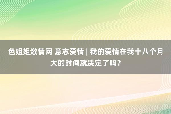 色姐姐激情网 意志爱情 | 我的爱情在我十八个月大的时间就决定了吗？