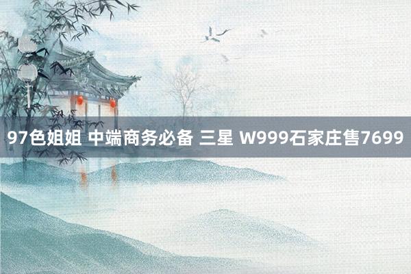 97色姐姐 中端商务必备 三星 W999石家庄售7699