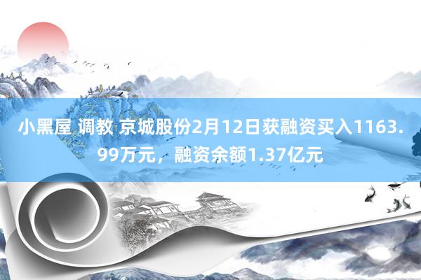 小黑屋 调教 京城股份2月12日获融资买入1163.99万元，融资余额1.37亿元