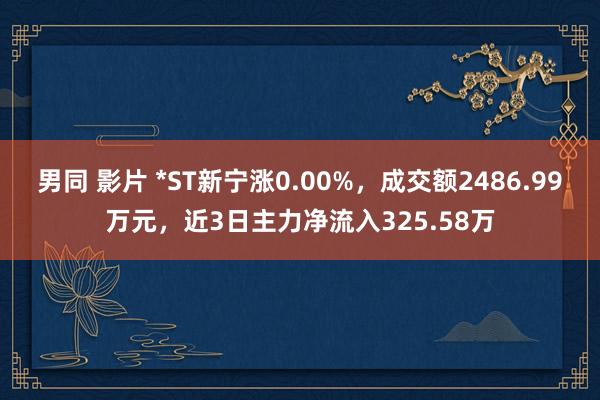 男同 影片 *ST新宁涨0.00%，成交额2486.99万元，近3日主力净流入325.58万