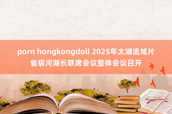 porn hongkongdoll 2025年太湖流域片省级河湖长联席会议整体会议召开