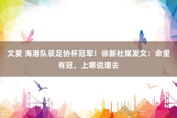 文爱 海港队获足协杯冠军！徐新社媒发文：命里有冠，上哪说理去